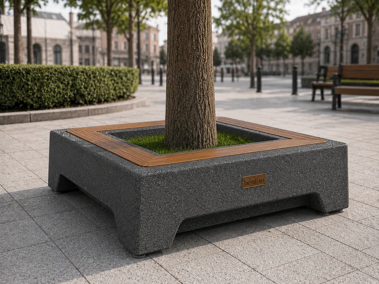 Banc d'arbre Caven — 1