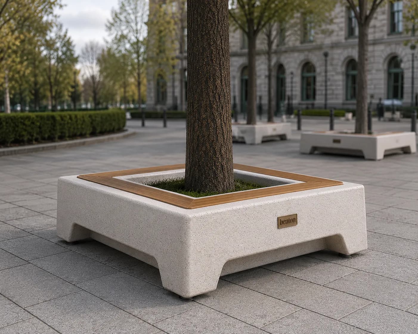Banc d'arbre Caven — 2